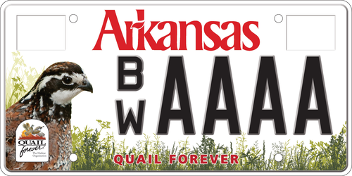 Quail Forever