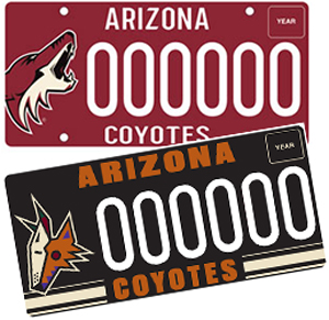 Arizona Coyotes