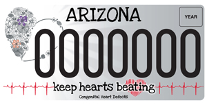 Congenital Heart Defect Awareness