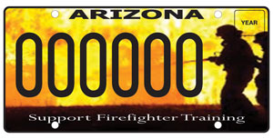 Firefighter Safety Training