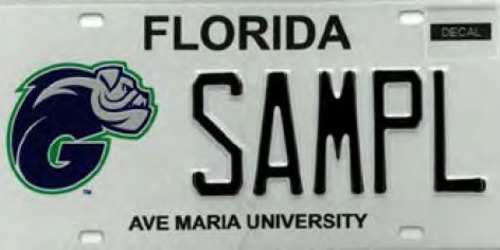 Ave Maria University