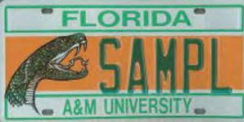 Florida A&M University