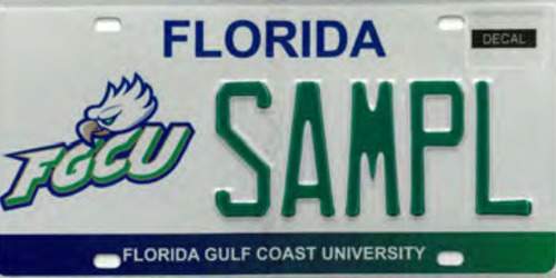 Florida Gulf Coast University