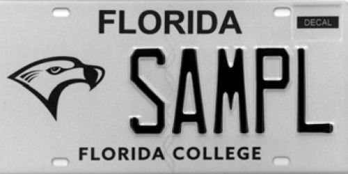 Florida College