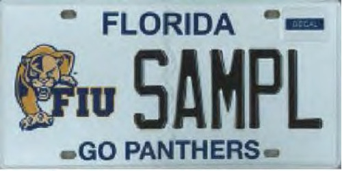 Florida International University