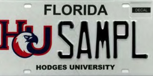 Hodges University