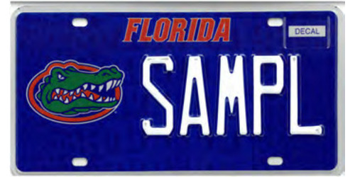 University of Florida