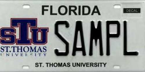 Saint Thomas University