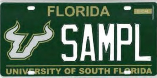 University of South Florida