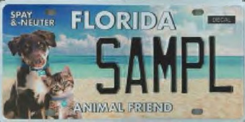 Animal Friend