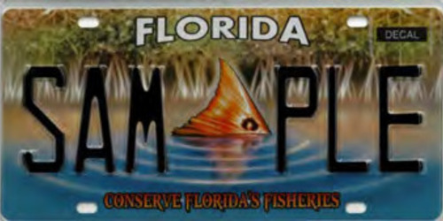 Conserve Florida's Fisheries