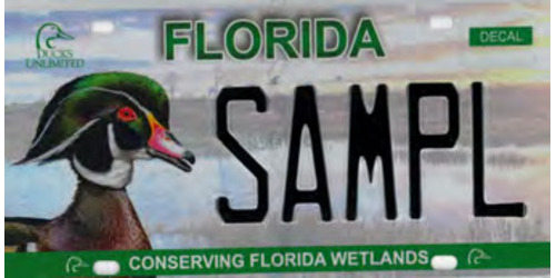 Ducks Unlimited