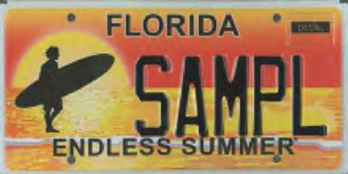 Endless Summer