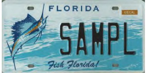Fish Florida