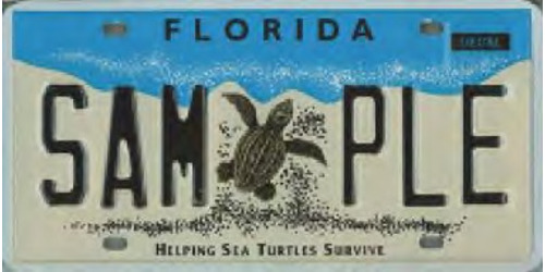 Helping Sea Turtles Survive