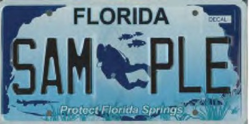 Protect Florida Springs