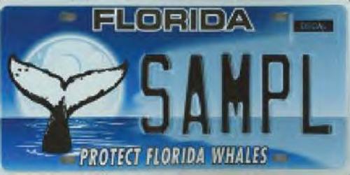 Protect Florida Whales