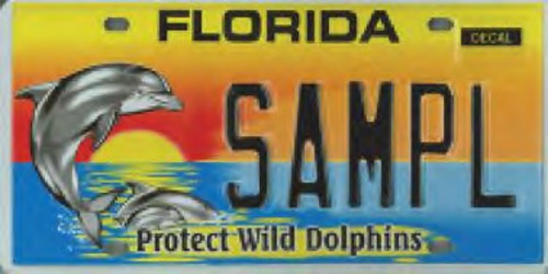Protect Wild Dolphins