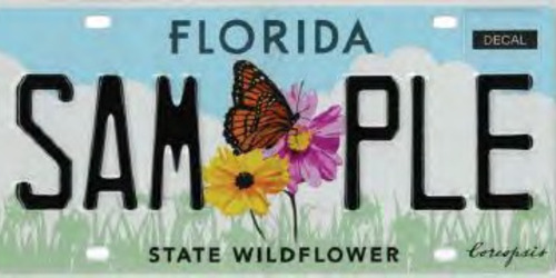 State Wildflower