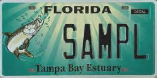 Tampa Bay Estuary