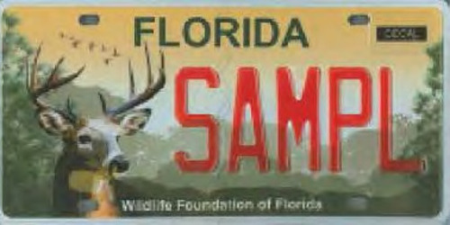 Wildlife Foundation of Florida