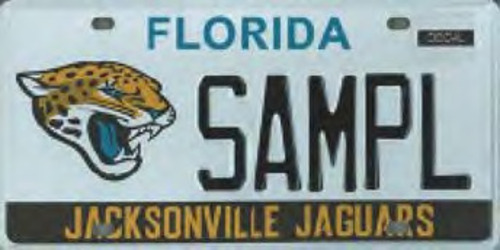 Jacksonville Jaguars (NFL)