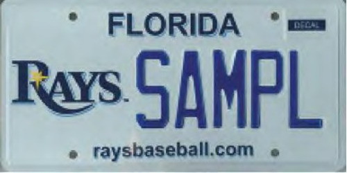 Tampa Bay Rays