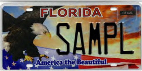 America the Beautiful