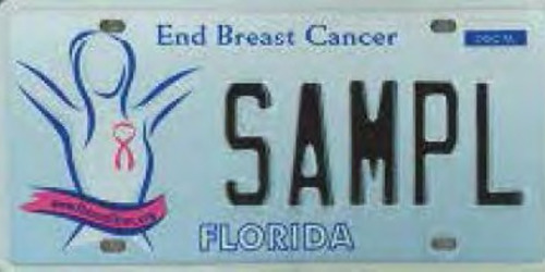 End Breast Cancer