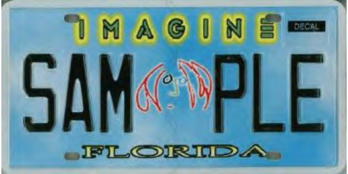 Imagine