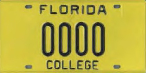 Gov. College