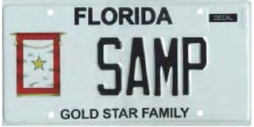 Gold Star Family