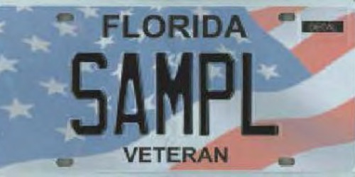 Veteran of U.S. Armed Forces