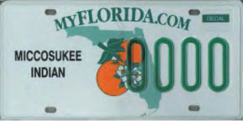 Miccosukee Indian