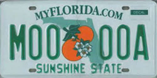 Heavy Truck Dual Plates