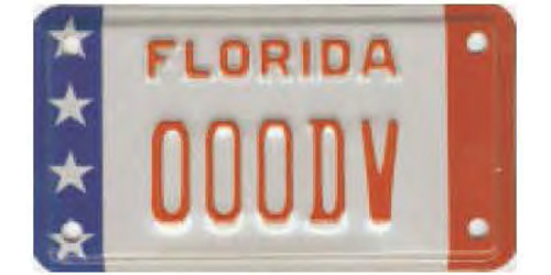 Motorcycle - Disabled Veteran