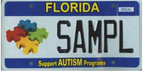 Support Autism Programs