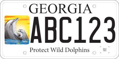 EarthEcho-Protect Wild Dolphins