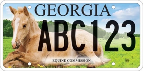 Georgia Equine Industry