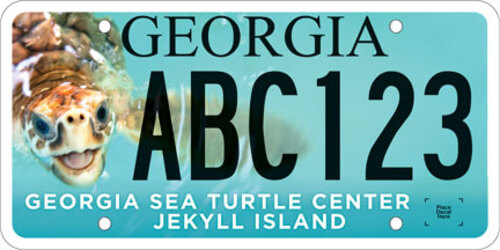 Georgia Sea Turtle Center-Jekyll Island