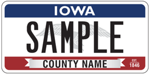 Flying Our Colors Plate