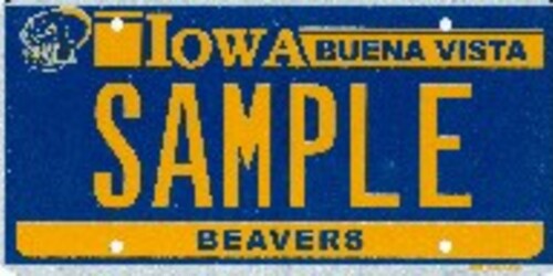 Buena Vista University