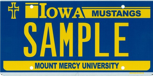 Mount Mercy University