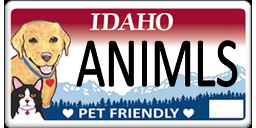 PET FRIENDLY