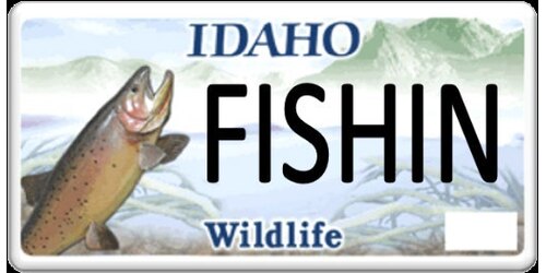 CUTTHROAT TROUT