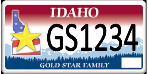 GOLD STAR FAMILY
