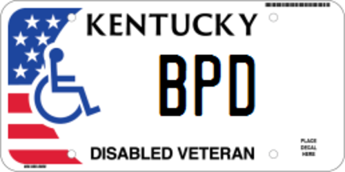 Disabled Veteran (Fee)