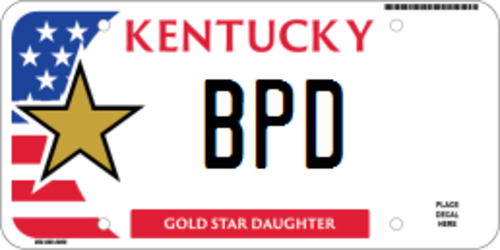 Gold Star Daughter