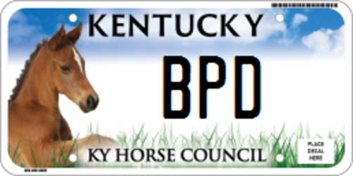 Horse Council