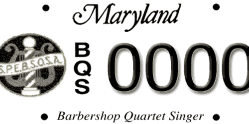 S.P.E.B.S.Q.S.A., Inc.